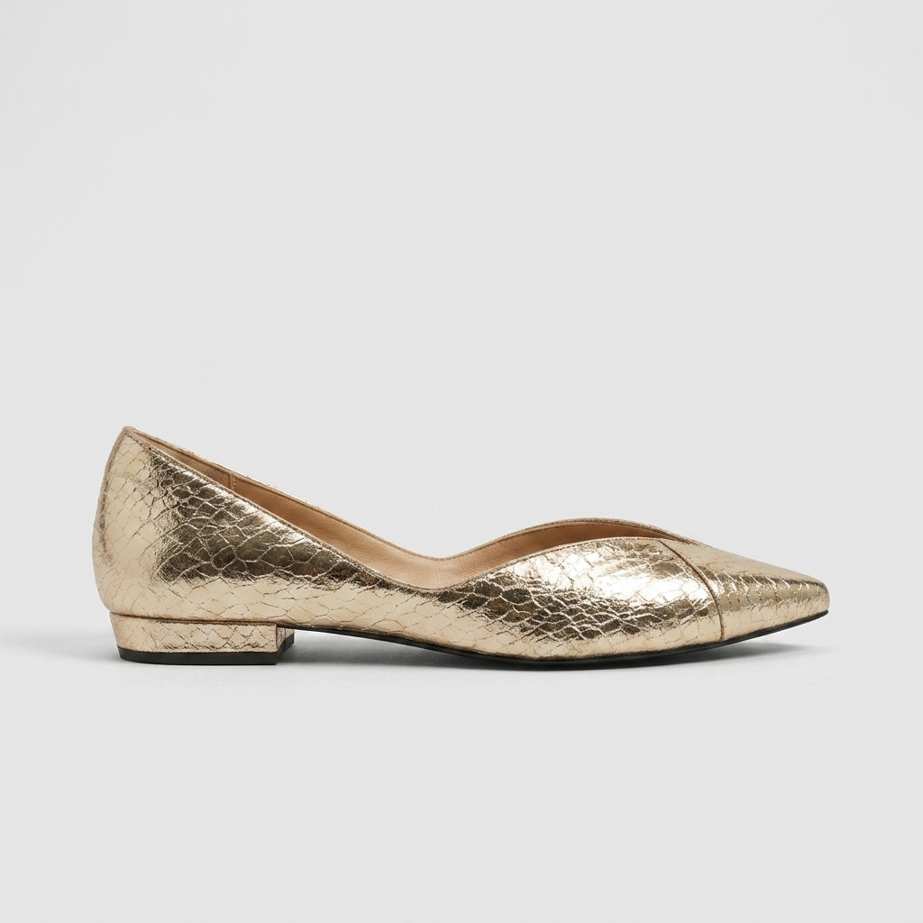 Women's Flats Pointed Toe Ballet Slip-On